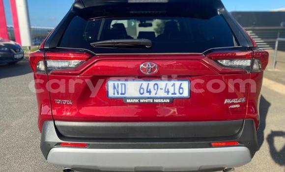 Buy Used Toyota RAV4 Red Car in Lusaka in Zambia Buy Used Toyota RAV4 Red Car in Lusaka in Zambia