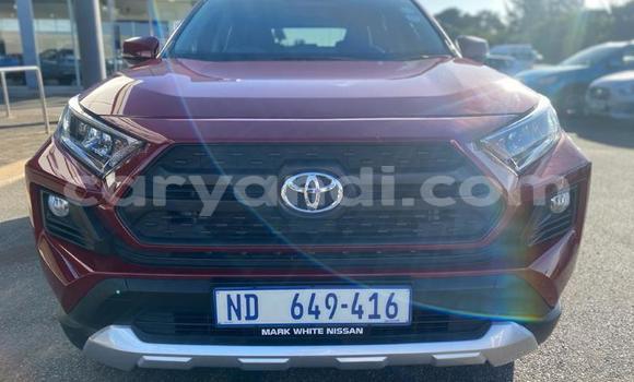 Buy Used Toyota RAV4 Red Car in Lusaka in Zambia Buy Used Toyota RAV4 Red Car in Lusaka in Zambia