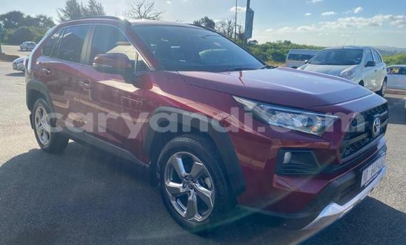 Acheter Occasion Voiture Toyota RAV4 Rouge à Lusaka, Zambie