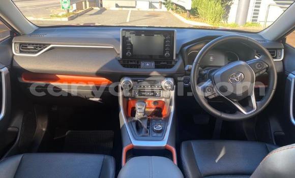 Buy Used Toyota RAV4 Red Car in Lusaka in Zambia Buy Used Toyota RAV4 Red Car in Lusaka in Zambia