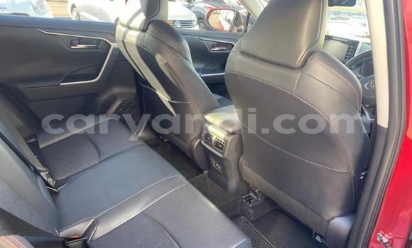 Buy Used Toyota RAV4 Red Car in Lusaka in Zambia Buy Used Toyota RAV4 Red Car in Lusaka in Zambia
