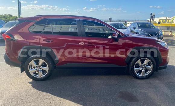 Buy Used Toyota RAV4 Red Car in Lusaka in Zambia Buy Used Toyota RAV4 Red Car in Lusaka in Zambia