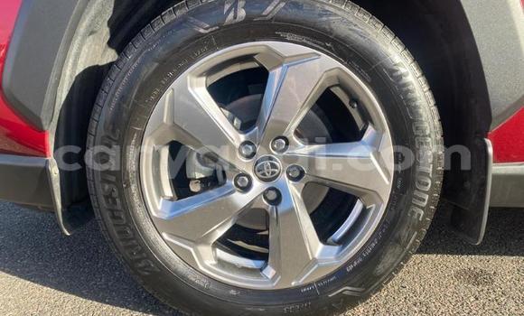 Buy Used Toyota RAV4 Red Car in Lusaka in Zambia Buy Used Toyota RAV4 Red Car in Lusaka in Zambia