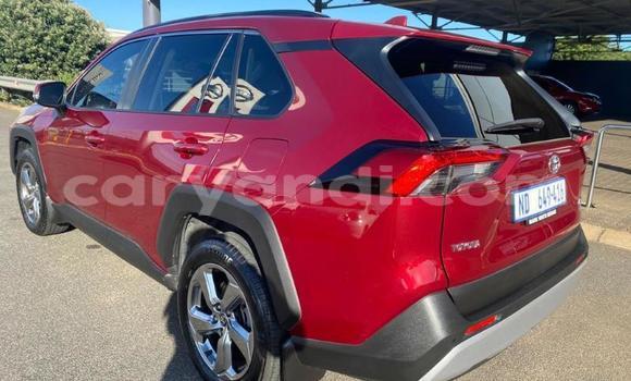 Buy Used Toyota RAV4 Red Car in Lusaka in Zambia Buy Used Toyota RAV4 Red Car in Lusaka in Zambia