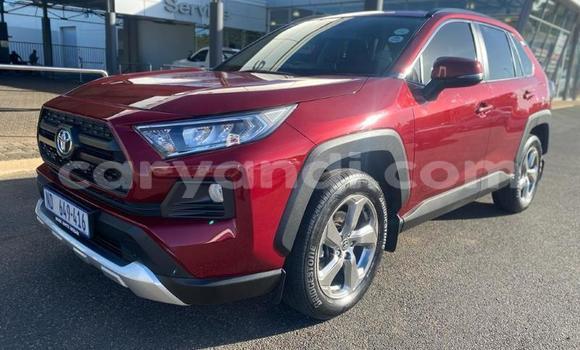 Buy Used Toyota RAV4 Red Car in Lusaka in Zambia Buy Used Toyota RAV4 Red Car in Lusaka in Zambia
