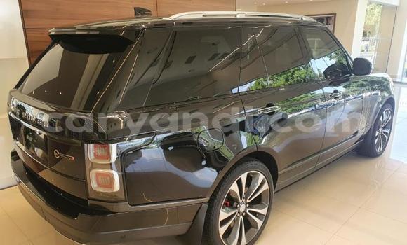 Tenga Tsaru Land Rover Range Rover Nhema Mota in Livingstone in Zambia Tenga Tsaru Land Rover Range Rover Nhema Mota in Livingstone in Zambia