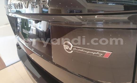 Tenga Tsaru Land Rover Range Rover Nhema Mota in Livingstone in Zambia Tenga Tsaru Land Rover Range Rover Nhema Mota in Livingstone in Zambia