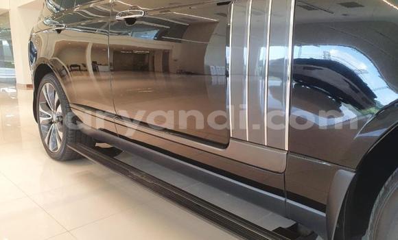 Tenga Tsaru Land Rover Range Rover Nhema Mota in Livingstone in Zambia Tenga Tsaru Land Rover Range Rover Nhema Mota in Livingstone in Zambia