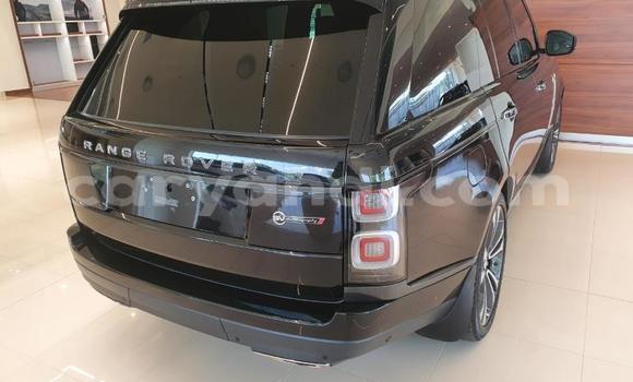 Tenga Tsaru Land Rover Range Rover Nhema Mota in Livingstone in Zambia Tenga Tsaru Land Rover Range Rover Nhema Mota in Livingstone in Zambia