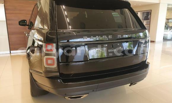 Tenga Tsaru Land Rover Range Rover Nhema Mota in Livingstone in Zambia Tenga Tsaru Land Rover Range Rover Nhema Mota in Livingstone in Zambia