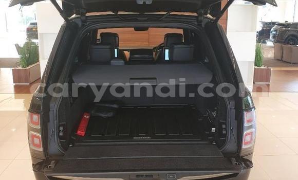 Tenga Tsaru Land Rover Range Rover Nhema Mota in Livingstone in Zambia Tenga Tsaru Land Rover Range Rover Nhema Mota in Livingstone in Zambia