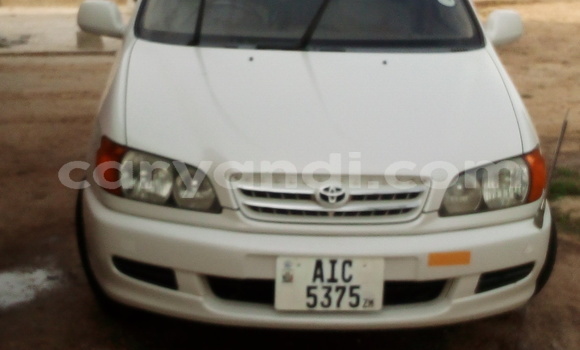 Buy Used Toyota Ipsum White Car in Lusaka in Zambia Buy Used Toyota Ipsum White Car in Lusaka in Zambia