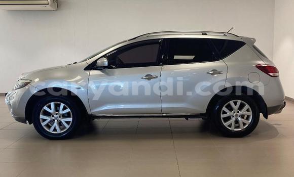 Acheter Occasion Voiture Nissan Murano Gris à Kitwe, Zambie Acheter Occasion Voiture Nissan Murano Gris à Kitwe, Zambie