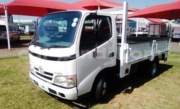 Buy Used Toyota Dyna White Truck in Chingola in Zambia