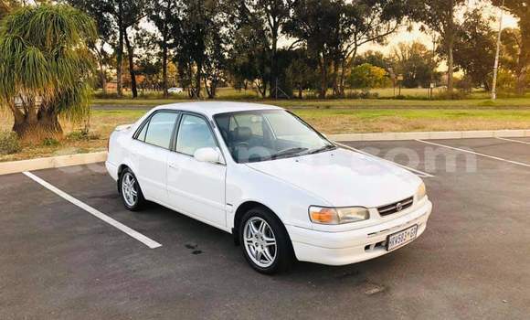 Buy Used Toyota Corolla White Car in Kitwe in Zambia