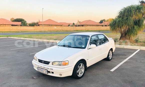 Acheter Occasion Voiture Toyota Corolla Blanc à Kitwe, Zambie Acheter Occasion Voiture Toyota Corolla Blanc à Kitwe, Zambie