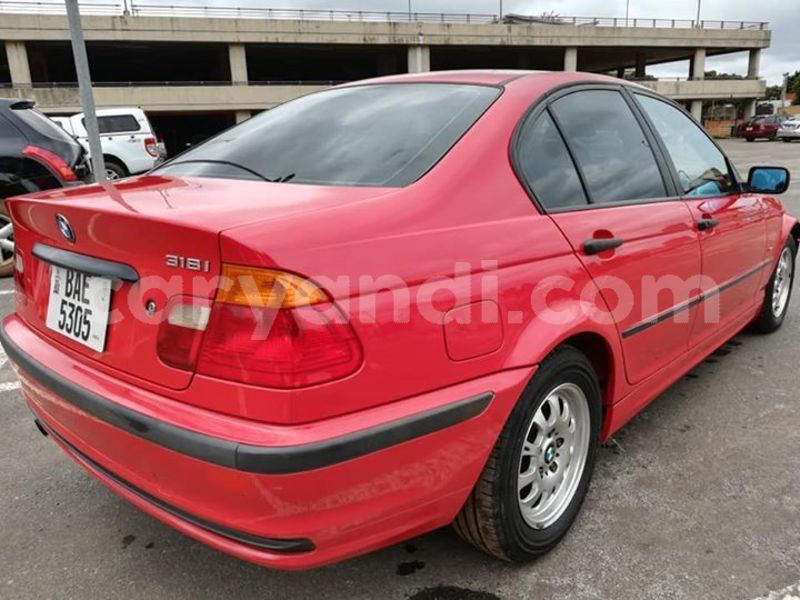 Big with watermark 52440839 2244099395635405 6779693884910862336 n