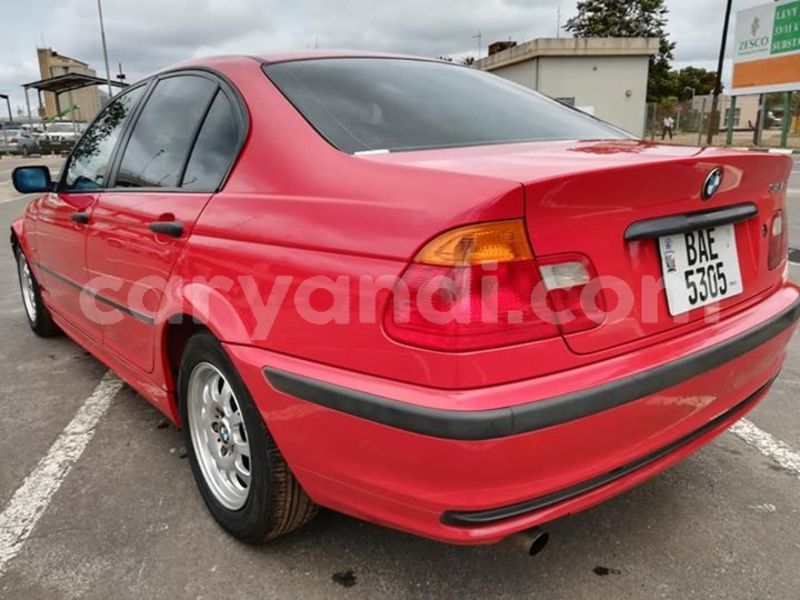 Big with watermark 52494572 2244099465635398 8497483157505835008 n