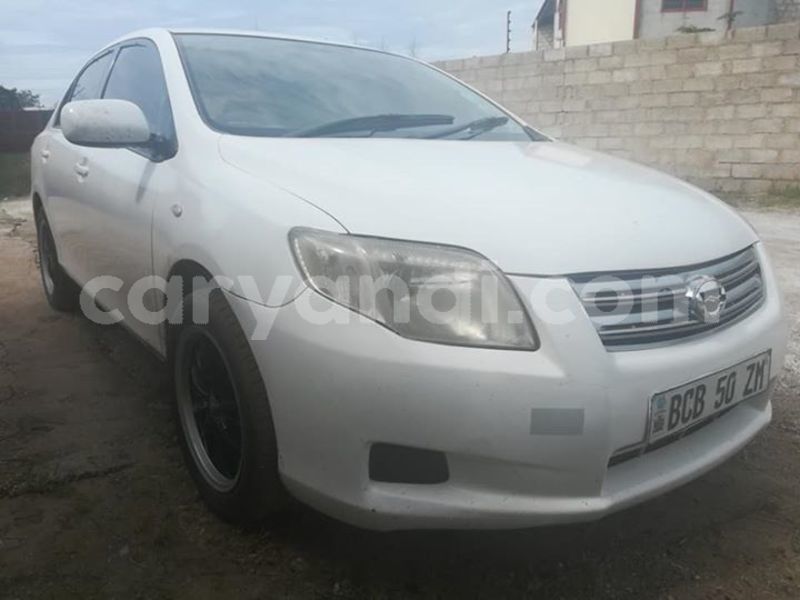 Big with watermark 52591412 2243826218996056 4170986025549561856 n