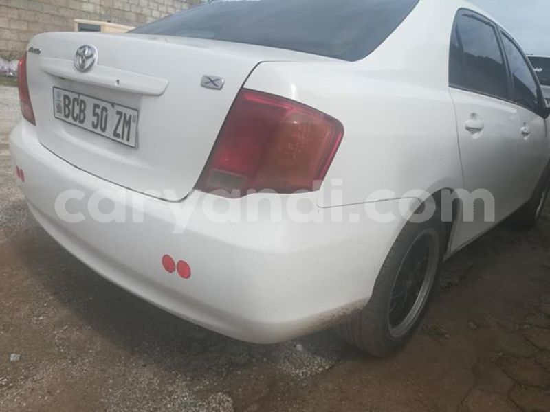 Big with watermark 52569255 2243826305662714 6089960976562520064 n