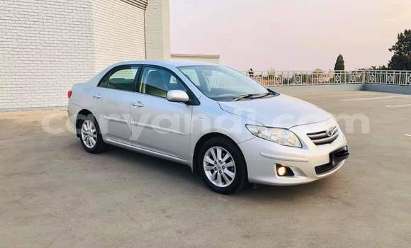 Acheter Occasion Voiture Toyota Corolla Gris à Chingola, Zambie Acheter Occasion Voiture Toyota Corolla Gris à Chingola, Zambie