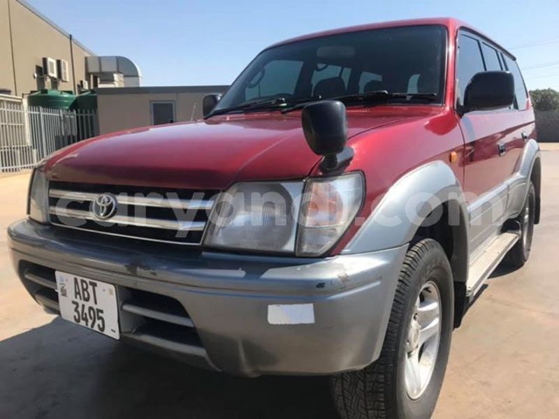 Big with watermark 46712039 2110538025658210 914538686396235776 n