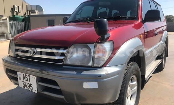 Buy Used Toyota Land Cruiser Red Car in Lusaka in Zambia Buy Used Toyota Land Cruiser Red Car in Lusaka in Zambia