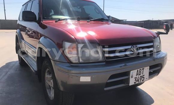 Buy Used Toyota Land Cruiser Red Car in Lusaka in Zambia Buy Used Toyota Land Cruiser Red Car in Lusaka in Zambia