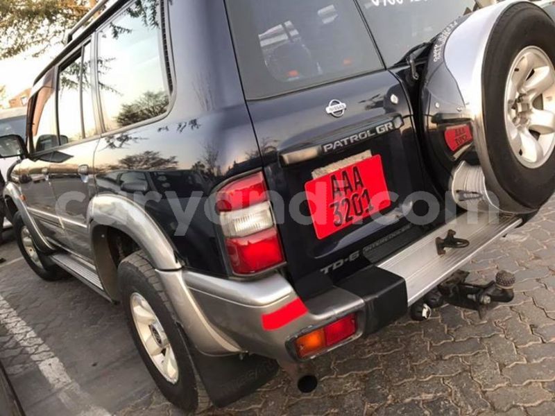 Big with watermark 46343944 2102463593132320 499150670960525312 n