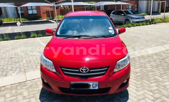 Acheter Occasion Voiture Toyota Corolla Rouge à Ndola, Zambie Acheter Occasion Voiture Toyota Corolla Rouge à Ndola, Zambie