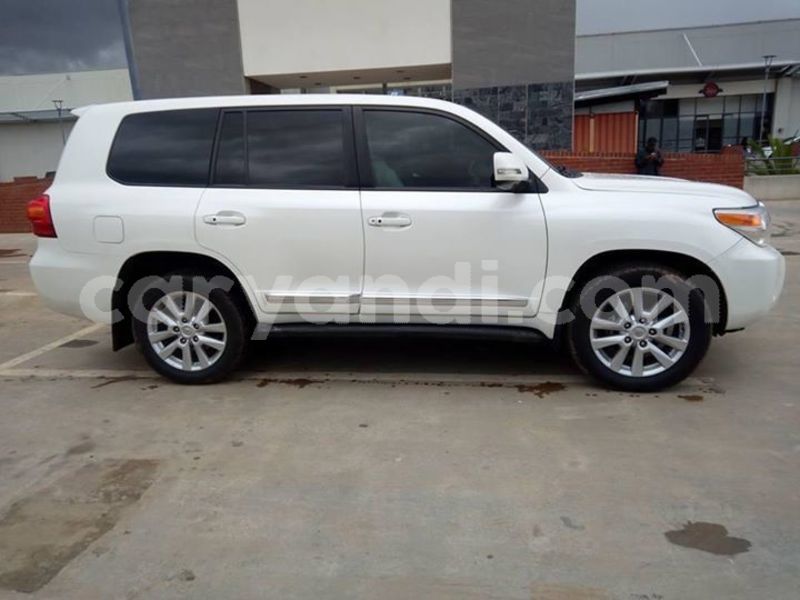 Big with watermark 52080705 124831908574101 8704474154239262720 n