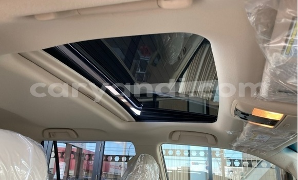 Buy Used Toyota Land Cruiser Prado Black Car in Livingstone in Zambia Buy Used Toyota Land Cruiser Prado Black Car in Livingstone in Zambia
