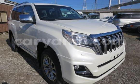Buy Used Toyota Land Cruiser Prado White Car in Chingola in Zambia Buy Used Toyota Land Cruiser Prado White Car in Chingola in Zambia