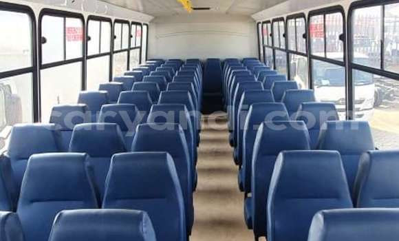 Tenga Tsaru Hino 300 Series Chena Rori in Lusaka in Zambia Tenga Tsaru Hino 300 Series Chena Rori in Lusaka in Zambia