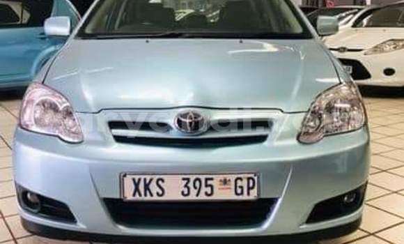 Buy Used Toyota Runx Blue Car in Zambezi in North-Western Buy Used Toyota Runx Blue Car in Zambezi in North-Western