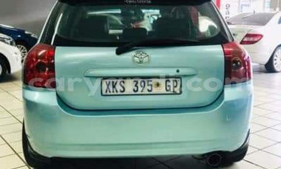 Buy Used Toyota Runx Blue Car in Zambezi in North-Western Buy Used Toyota Runx Blue Car in Zambezi in North-Western