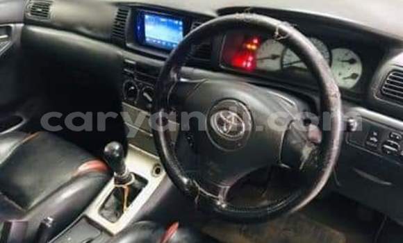 Buy Used Toyota Runx Blue Car in Zambezi in North-Western Buy Used Toyota Runx Blue Car in Zambezi in North-Western