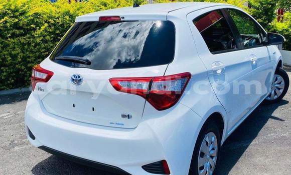 Buy Used Toyota Vitz White Car in Livingstone in Zambia Buy Used Toyota Vitz White Car in Livingstone in Zambia