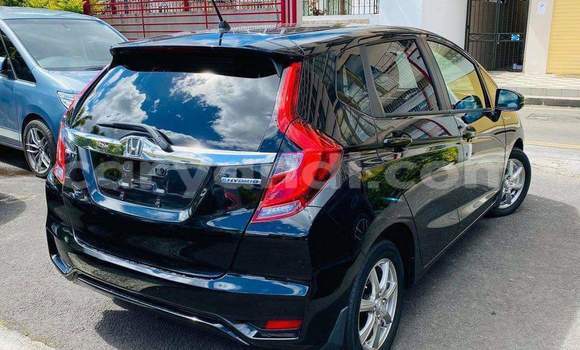 Buy Used Honda FIT Black Car in Livingstone in Zambia Buy Used Honda FIT Black Car in Livingstone in Zambia