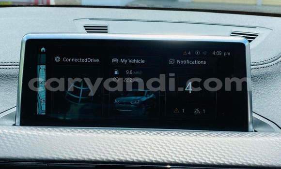 Tenga Tsaru BMW X2 Nhema Mota in Lusaka in Zambia Tenga Tsaru BMW X2 Nhema Mota in Lusaka in Zambia