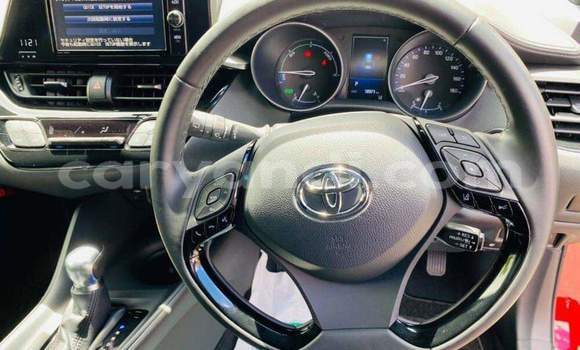 Acheter Occasion Voiture Toyota C-HR Rouge à Livingstone, Zambie Acheter Occasion Voiture Toyota C-HR Rouge à Livingstone, Zambie