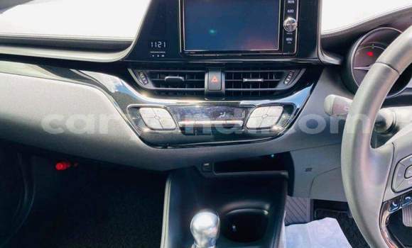 Acheter Occasion Voiture Toyota C-HR Rouge à Livingstone, Zambie Acheter Occasion Voiture Toyota C-HR Rouge à Livingstone, Zambie