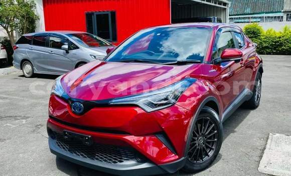Acheter Occasion Voiture Toyota C-HR Rouge à Livingstone, Zambie Acheter Occasion Voiture Toyota C-HR Rouge à Livingstone, Zambie
