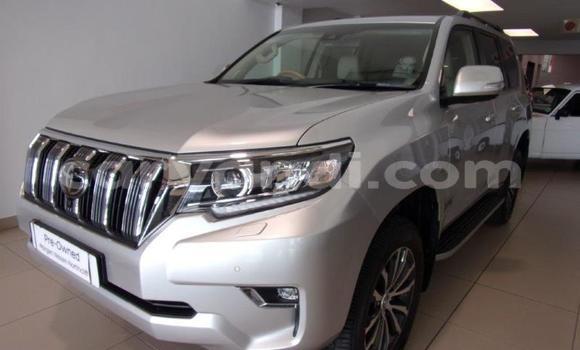 Buy Used Toyota Land Cruiser Prado White Car in Lusaka in Zambia Buy Used Toyota Land Cruiser Prado White Car in Lusaka in Zambia
