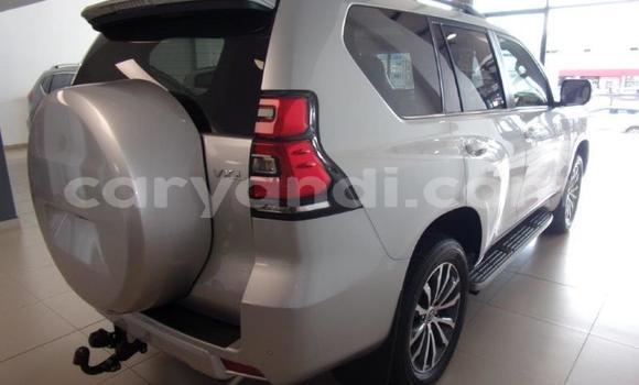 Buy Used Toyota Land Cruiser Prado White Car in Lusaka in Zambia Buy Used Toyota Land Cruiser Prado White Car in Lusaka in Zambia