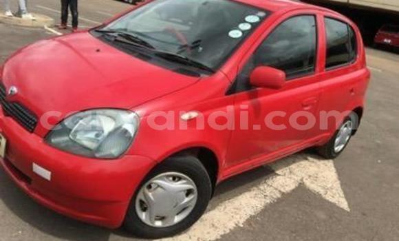 Buy Used Toyota Vitz Red Car in Lusaka in Zambia Buy Used Toyota Vitz Red Car in Lusaka in Zambia