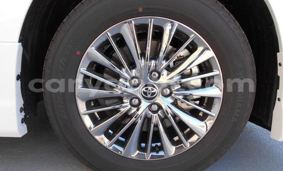 Buy Used Toyota Alphard White Car in Lusaka in Zambia Buy Used Toyota Alphard White Car in Lusaka in Zambia