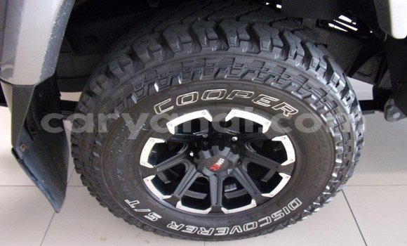 Tenga Tsaru Toyota Land Cruiser Nhema Mota in Lusaka in Zambia Tenga Tsaru Toyota Land Cruiser Nhema Mota in Lusaka in Zambia