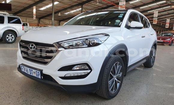 Acheter Occasion Voiture Hyundai Tucson Blanc à Lusaka, Zambie Acheter Occasion Voiture Hyundai Tucson Blanc à Lusaka, Zambie