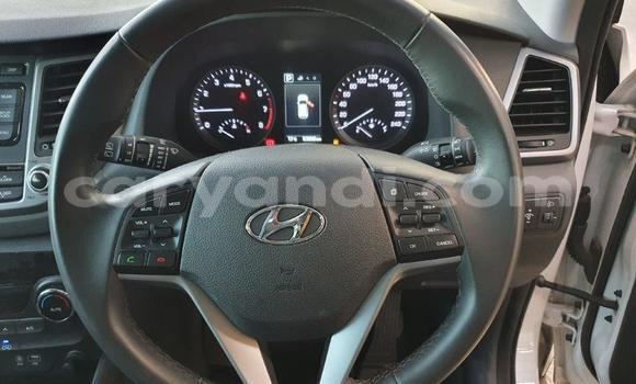 Acheter Occasion Voiture Hyundai Tucson Blanc à Lusaka, Zambie Acheter Occasion Voiture Hyundai Tucson Blanc à Lusaka, Zambie